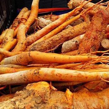 Ashwagandha Root Extract