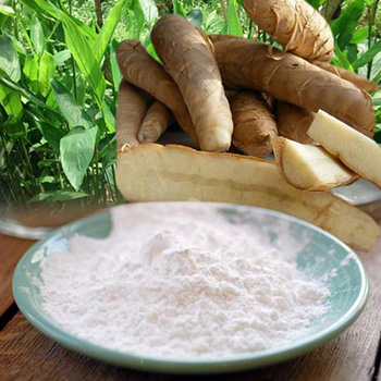 Arrowroot